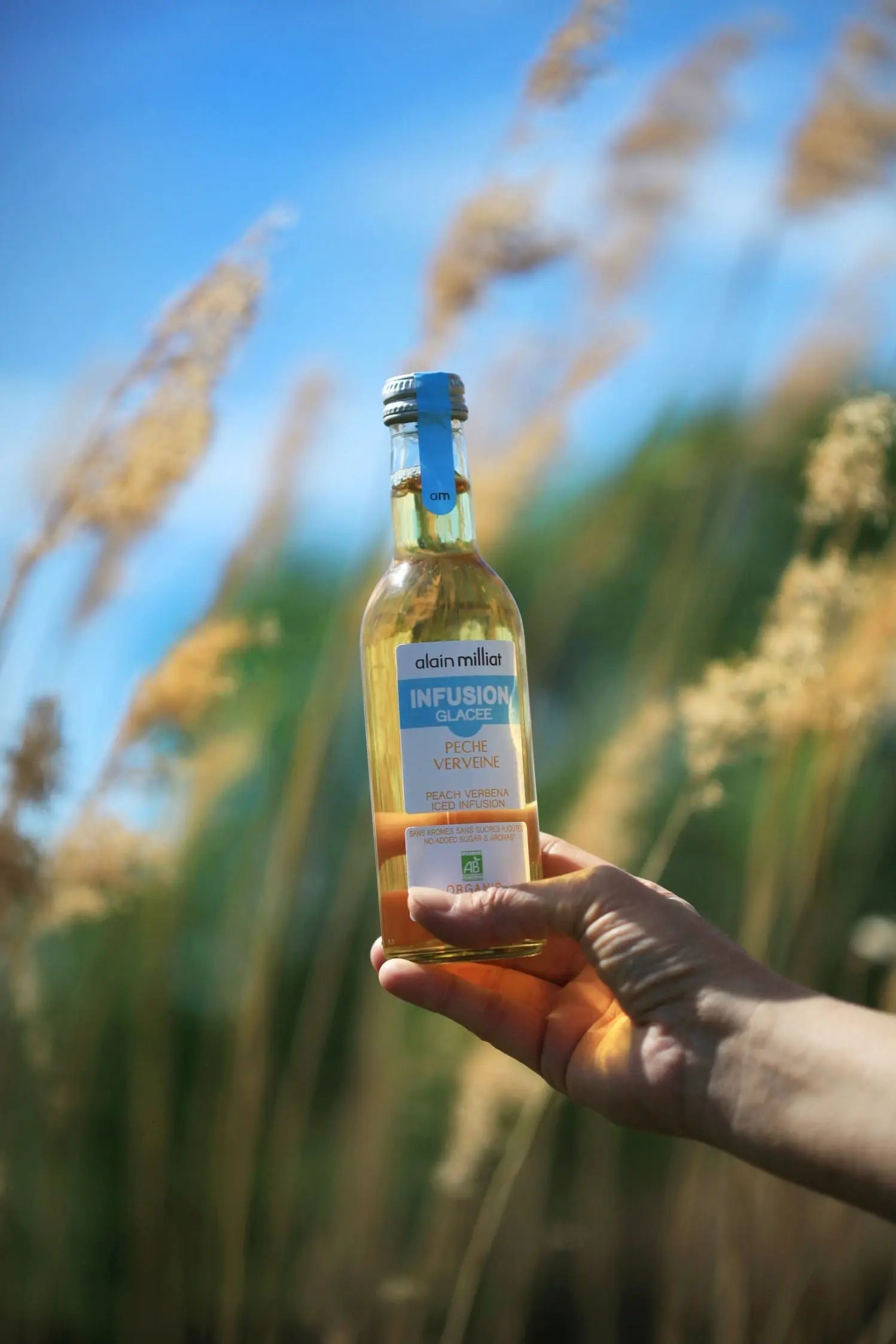 Iced infusion peach verbena: organic and gourmet - Alain Milliat