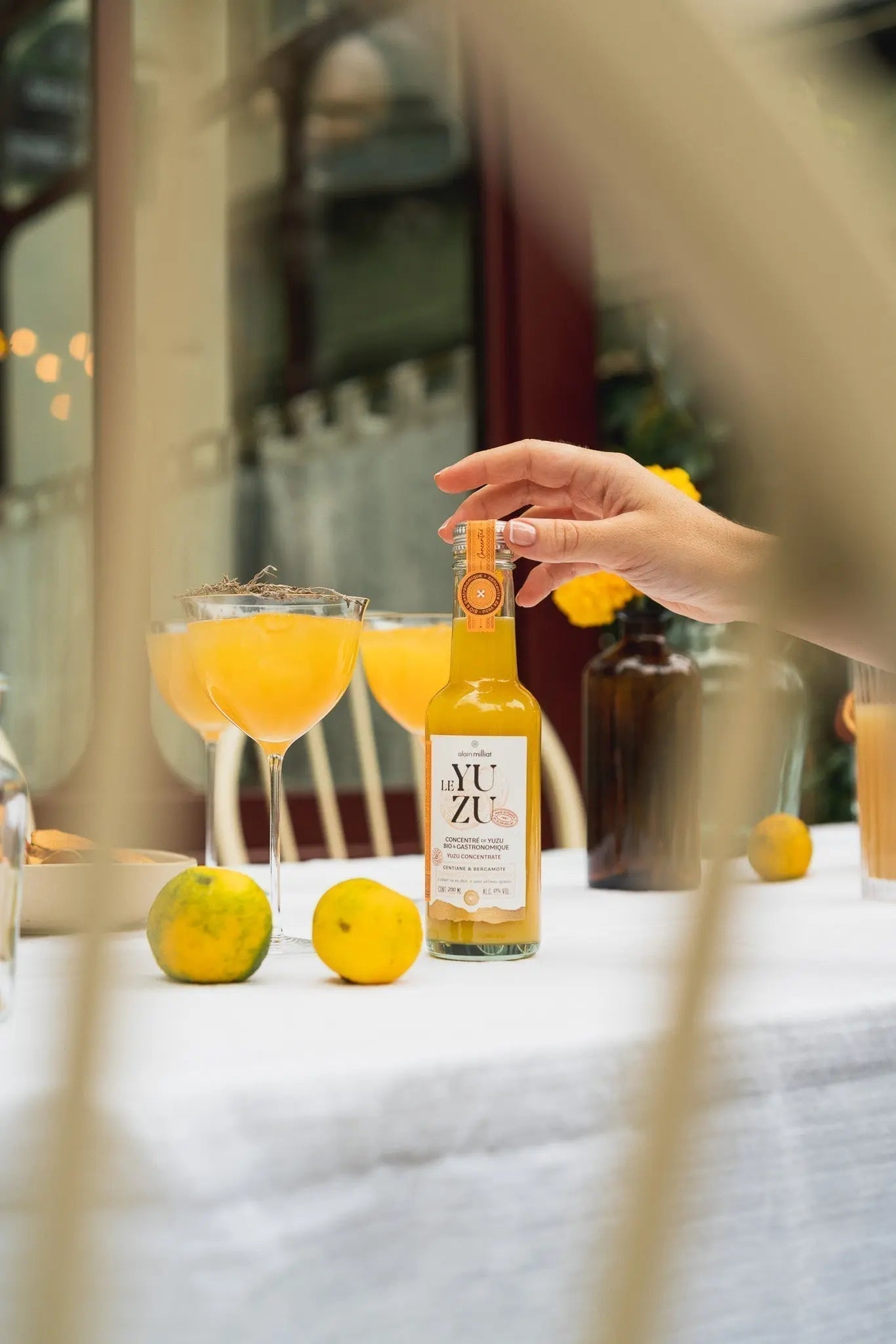 Yuzu: the citrus fruit that reinvents your drinks | Alain Milliat