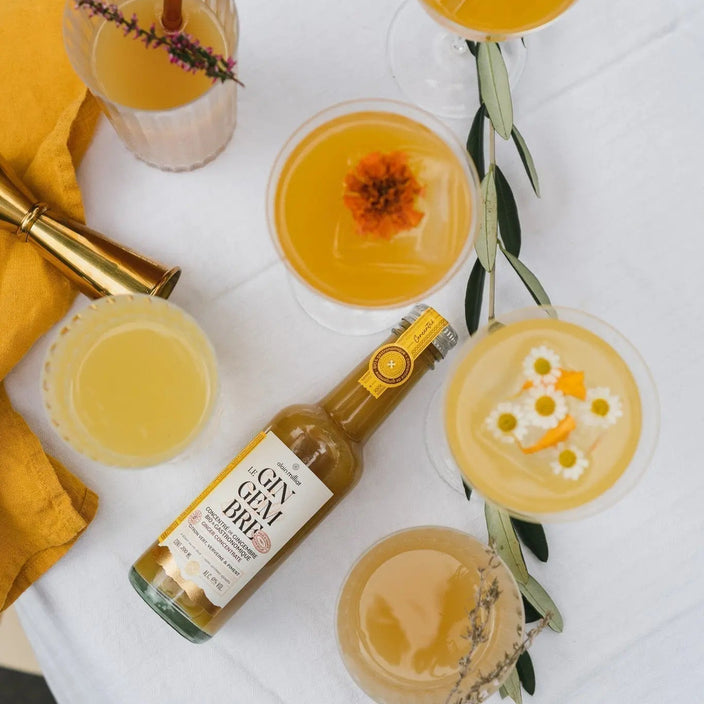 Qu’est-ce que le Gingembre ? Alain Milliat