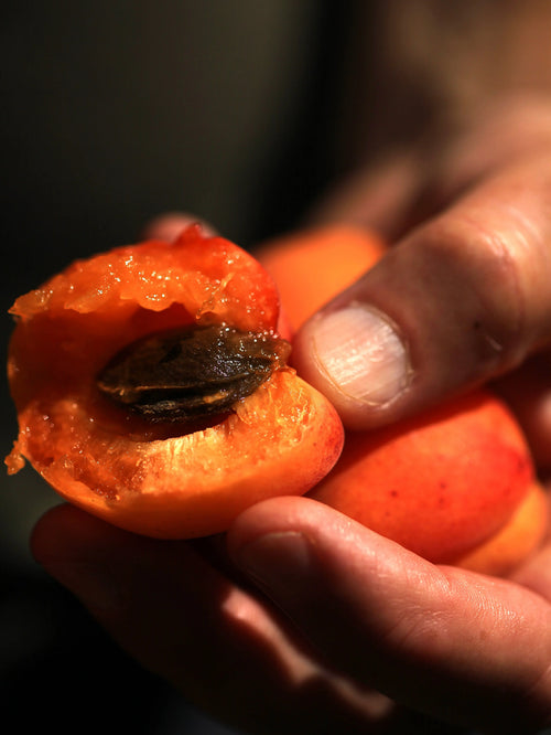 Fruits de saison : notre guide mois par mois pour mieux les savourer Alain Milliat