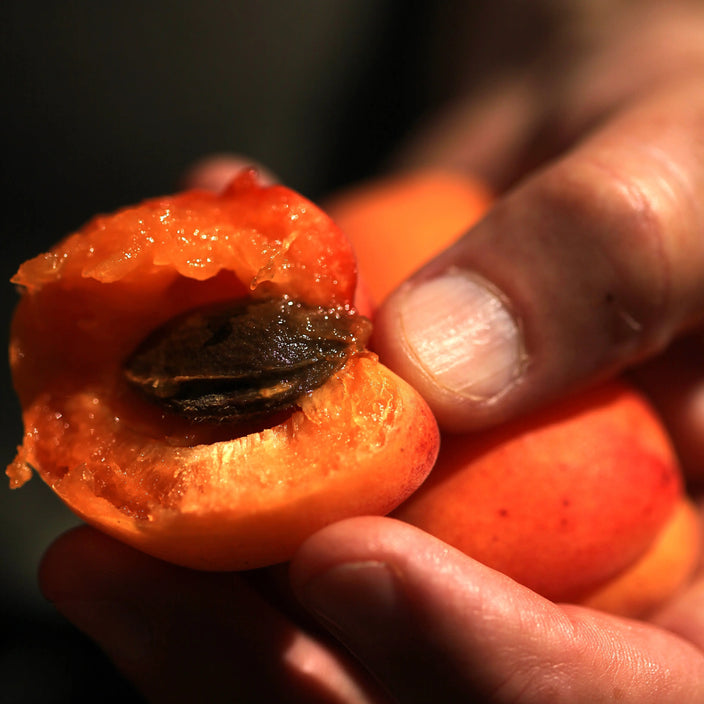 Fruits de saison : notre guide mois par mois pour mieux les savourer Alain Milliat