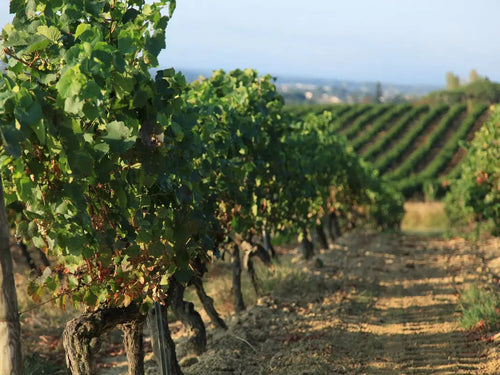 Alain-Milliat-une-maison-engagée Alain Milliat