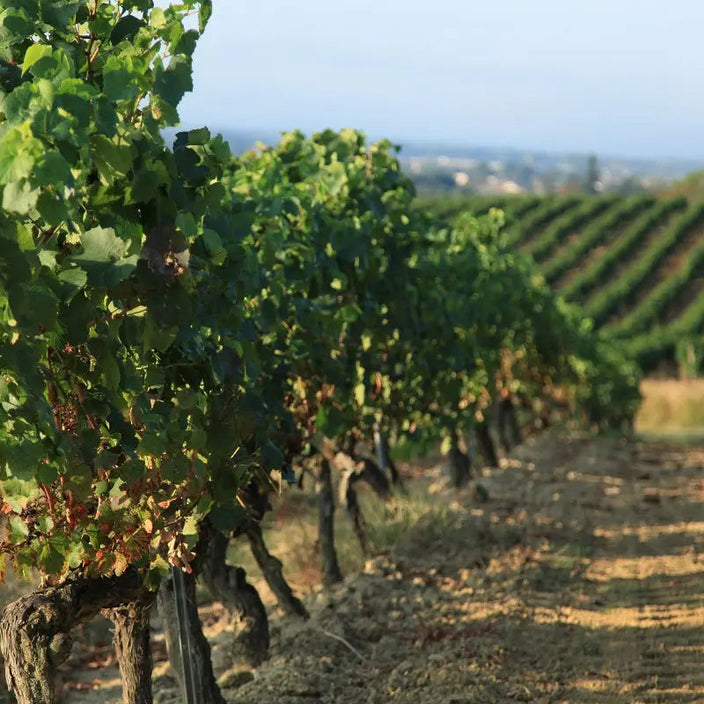 Alain-Milliat-une-maison-engagée Alain Milliat