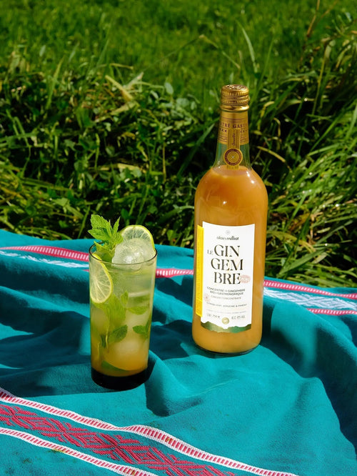 Une revisite du virgin mojito, avec une pointe de gingembre