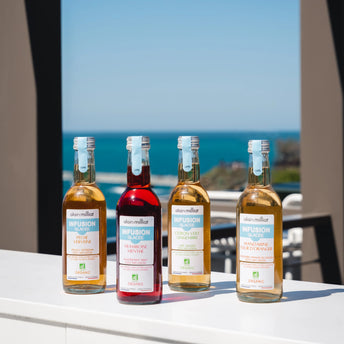 Infusions Glacées Bio Alain Milliat