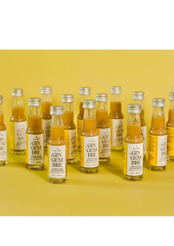 Pack Cure Le Gingembre - 32 x 2cl Alain Milliat